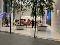 -Apple零售店(济南恒隆广场店)