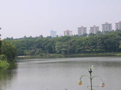 -东莞植物园