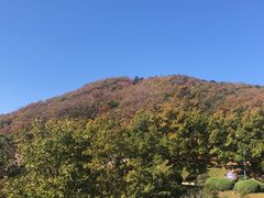 -童牛岭风景区