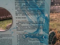 -苏州河梦清园环保主题公园