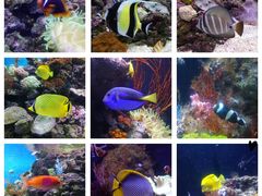 -成都浩海立方海洋公园