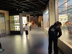 -广东中医药博物馆