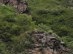 -空中草原