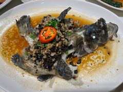 榄角肉碎蒸珍珠龙趸-東海海鲜酒家(中信广场店)