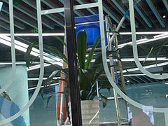 -斯洛特健身游泳(爱都旗舰店)