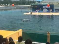 -秦皇岛乐岛海洋王国