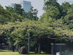 -四海公园(南山区)