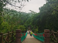 -南宁良凤江国家森林公园