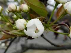 -梁鸿国家湿地公园