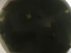 -鑫日千里马朝鲜族小馆(总店)