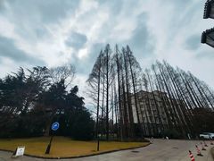-棕榈岛海鲜自助餐厅(虹桥迎宾馆店)