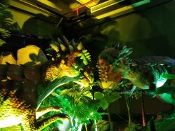 -恐龙探索乐园(磁器口店)