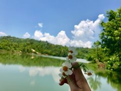 -广东惠东海龟国家级自然保护区