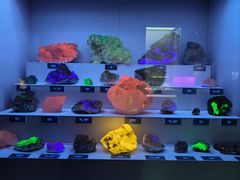 -湖南省地质博物馆