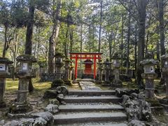 -奈良公园
