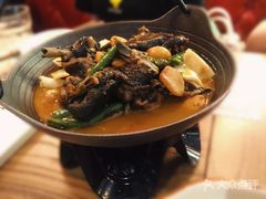 -猫头婴小酒馆FUN OWL(1912店)