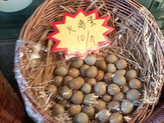 -食家鸽园