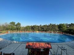-东海森林温泉度假酒店