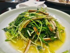 -新泰和人家(金澄天地花园店)