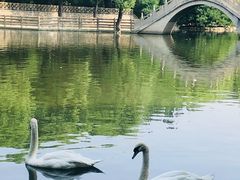 -辛玛王国游乐园