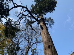 -终南山南五台景区