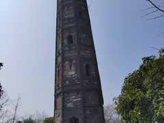 -上海佘山国家森林公园天马山园