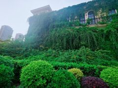 -府河摄影公园