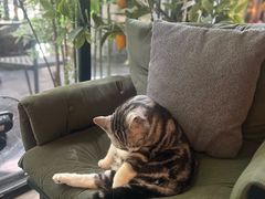 -咖法森林·咖啡  酒吧(天河店)