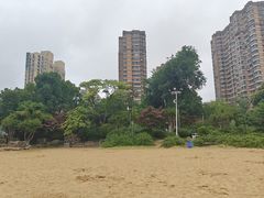 -青枫公园