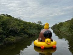 -黄海国家森林公园