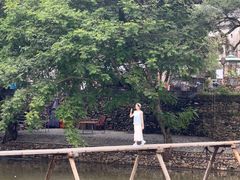 -瑶河山里菜