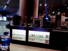 -虹桥机场国航贵宾室v8