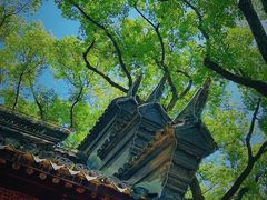 -天一阁博物院