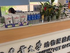 -中国农业大学动物医院
