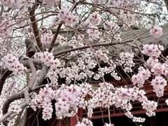 -碑林公园