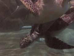 -福州罗源湾海洋世界旅游区