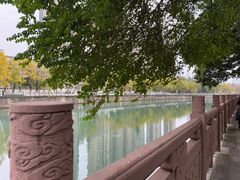 -成都市活水公园