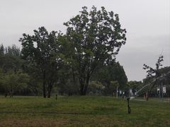 -五环公园