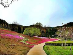 -棒棰岛宾馆景区