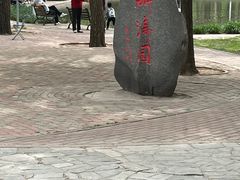 -泰丰公园