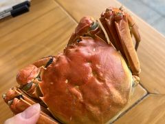 -品鲜村农家菜·阳澄湖大闸蟹(总店)