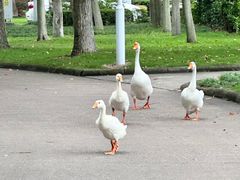 -浙江万里学院(钱湖校区)