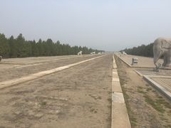 iphone_upload_pic-清东陵