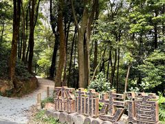 -广州市帽峰山景区