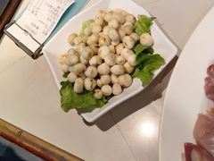 -百年果林椰子鸡(宝安总店)