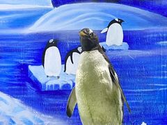 -重庆欢乐海底世界