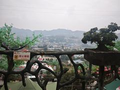 -枇杷园食为鲜火锅(南山店)