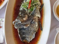 -骏莱海鲜鱼港(五角场店)