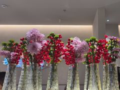 -Aqua Oasis 水天堂(太湖中心mall店)