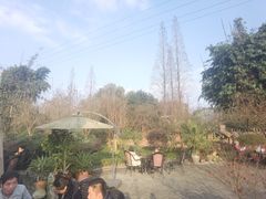 -森居forest休闲咖啡聚集地